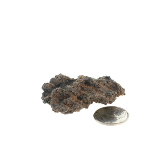 Fulgurite Petrified Lightning #2 - 1" to 2" from The Rock Space