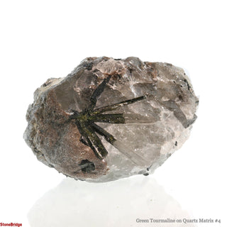 Green Tourmaline on Quartz Matrix #4 from The Rock Space