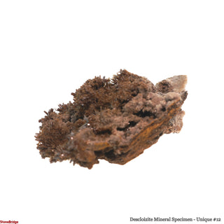 Descloizite Mineral Specimen U#12 - 2 1/2" from The Rock Space