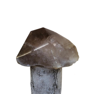 Smoky Quartz Point GIANT! U#1 from The Rock Space