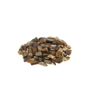 Petrified Wood Tumbled Stones - Madagascar from The Rock Space
