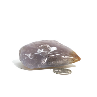 Enhydro Agate Geodes - 2 1/2" from The Rock Space