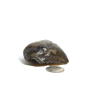 Enhydro Agate Geodes - 2 1/2" from The Rock Space