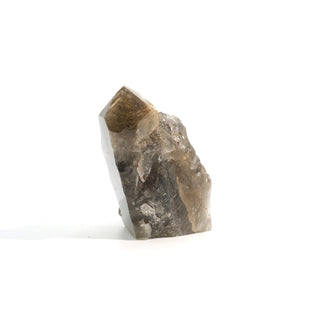 Smoky Quartz Rutilated Cluster U#4 from The Rock Space