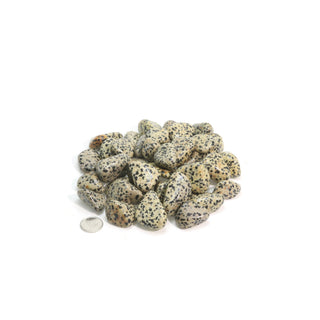 Dalmatian Jasper Tumbled Stones from The Rock Space