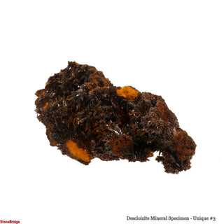Descloizite Mineral Specimen U#3 - 3 3/4" from The Rock Space