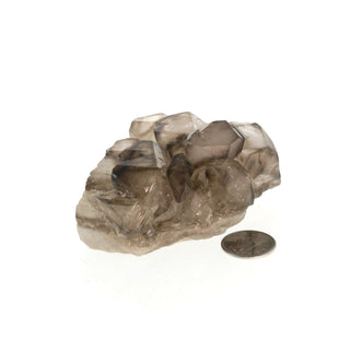Smoky Quartz Elestial #3 - 2" to 3 1/2" from The Rock Space
