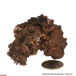 Descloizite Mineral Specimen U#6 - 2 3/4" from The Rock Space