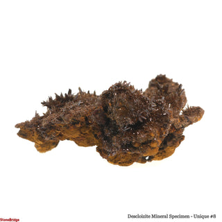 Descloizite Mineral Specimen U#8 - 3" from The Rock Space