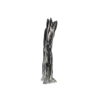 Orthoceras Tower Fossil U#9 - 22" from The Rock Space