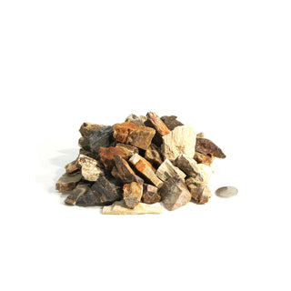 Petrified Wood Chips - Small from The Rock Space