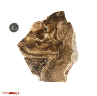 Calcite Chocolate Slice #4 from The Rock Space