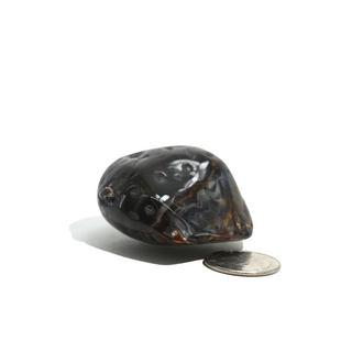 Enhydro Agate Geodes - 2" from The Rock Space