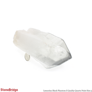 Lemurian Black Phantom Point #5 from The Rock Space