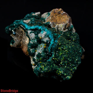 Dioptase Specimen on Matrix U#1 - 2 1/4" from The Rock Space