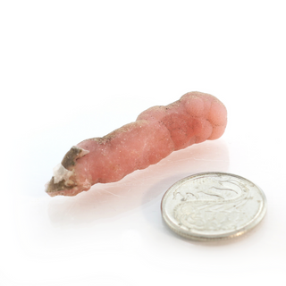 Rhodochrosite Stalactite Specimen from The Rock Space