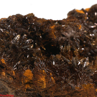 Descloizite Mineral Specimen U#3 - 3 3/4" from The Rock Space