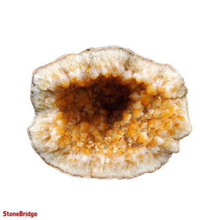 Citrine Geode U#38 from The Rock Space