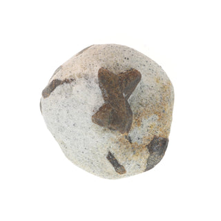 Staurolite On Matrix from The Rock Space