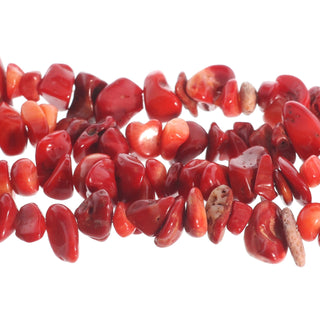 Coral Red Chip Strands - 5mm to 8mm from The Rock Space