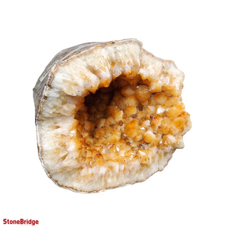 Citrine Geode U#38 from The Rock Space