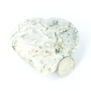 Tree Agate Heart #4 - 1 3/4" to 2 3/4" from The Rock Space