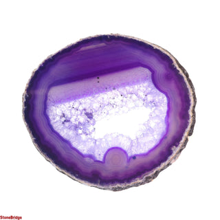 Agate Slices #8 - 6 1/2" to 8 1/4" from The Rock Space