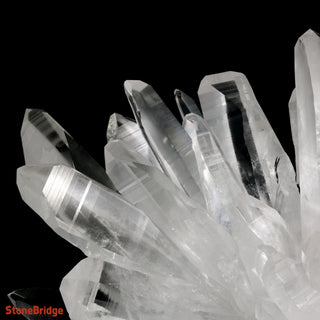 Lemurian Quartz Cluster U#2 - Super Clear - 19lbs 13" from The Rock Space