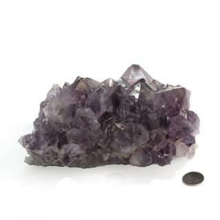 Amethyst Clusters #5 - 5" to 7" from The Rock Space