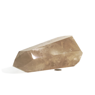 Smoky Quartz Double Terminated Point U#3 - 10" from The Rock Space
