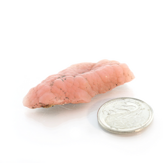 Rhodochrosite Stalactite Specimen from The Rock Space