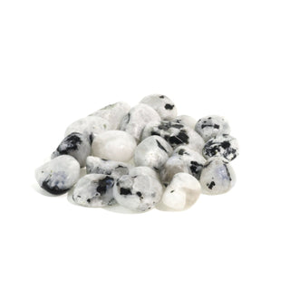Rainbow Moonstone Tumbled Stones - India from The Rock Space