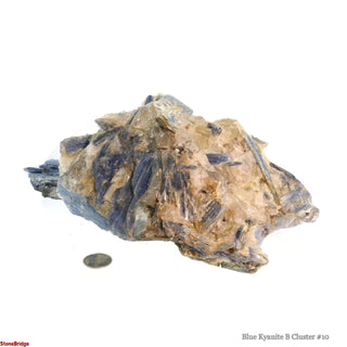 Blue Kyanite B Cluster #10 from The Rock Space