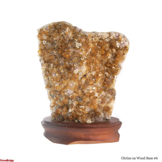 Citrine Cluster on Wood Base #6 - 10" from The Rock Space