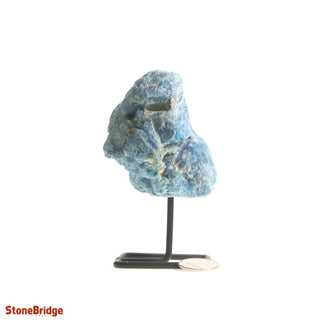 Apatite Specimen on Stand #3 from The Rock Space