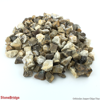 Orbicular Jasper Chips - Tiny from The Rock Space