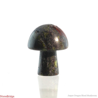 Jasper Dragon Blood Mushroom from The Rock Space
