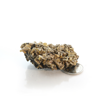 Wulfenite Mineral Specimen from The Rock Space