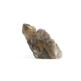 Smoky Quartz Rutilated Cluster U#4 from The Rock Space