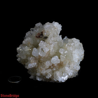 White Calcite Cluster #1 from The Rock Space