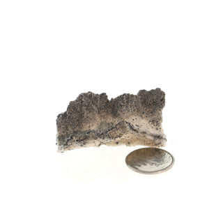 Fulgurite Petrified Lightning #2 - 1" to 2" from The Rock Space
