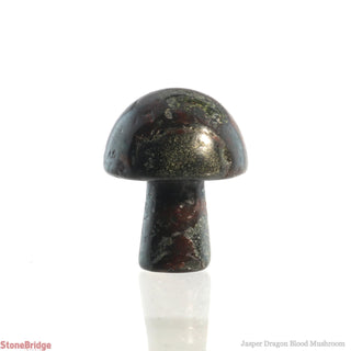 Jasper Dragon Blood Mushroom from The Rock Space