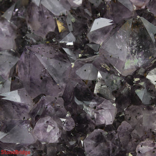 Amethyst Cluster U#33 - 7 3/4" from The Rock Space
