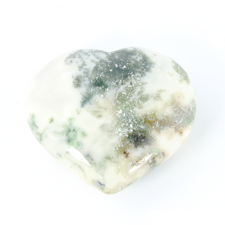 Tree Agate Heart #4 - 1 3/4" to 2 3/4" from The Rock Space