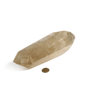 Smoky Quartz Double Terminated U#1 - 7 1/2"L from The Rock Space