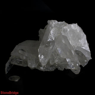 Clear Quartz E Cluster U#115 from The Rock Space