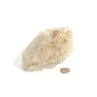 Smoky Quartz Elestial #5 - 3 1/4" to 5" from The Rock Space