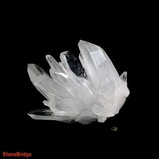 Lemurian Quartz Cluster U#2 - Super Clear - 19lbs 13" from The Rock Space