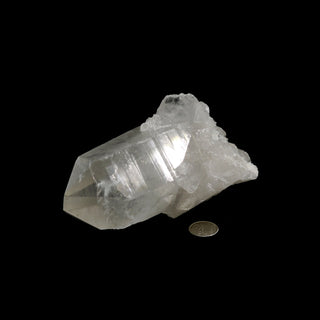 Clear Quartz Double Terminated Point #4 - 6" from The Rock Space