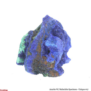Azurite W/ Malachite Specimen U#17 from The Rock Space